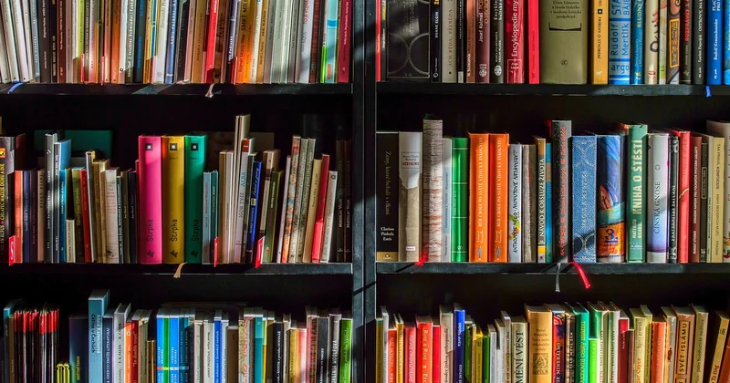 Quels sont les deux types de contrats en alternance ?