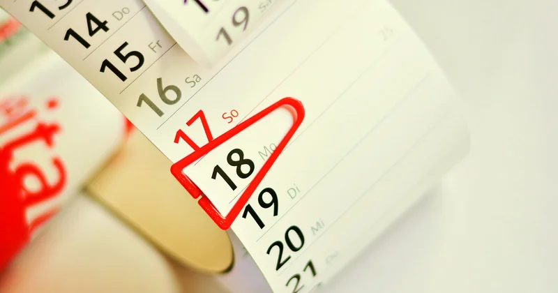 Quand formaliser quoi : le calendrier des six premiers mois